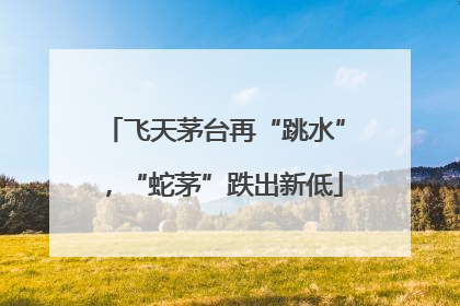 飞天茅台再“跳水”，“蛇茅”跌出新低