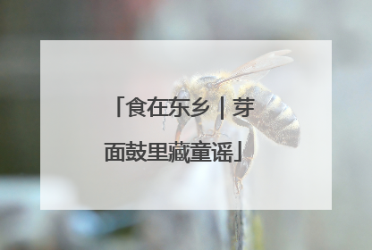 食在东乡｜芽面鼓里藏童谣