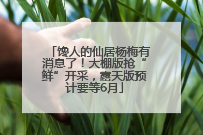 馋人的仙居杨梅有消息了！大棚版抢“鲜”开采，露天版预计要等6月
