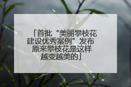 首批“美丽攀枝花建设优秀案例”发布 原来攀枝花是这样越变越美的