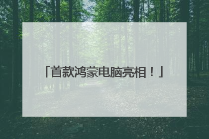 首款鸿蒙电脑亮相！