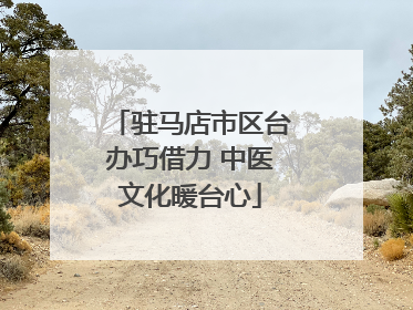 驻马店市区台办巧借力 中医文化暖台心