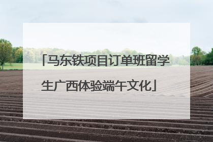 马东铁项目订单班留学生广西体验端午文化