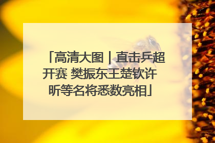 高清大图｜直击乒超开赛 樊振东王楚钦许昕等名将悉数亮相