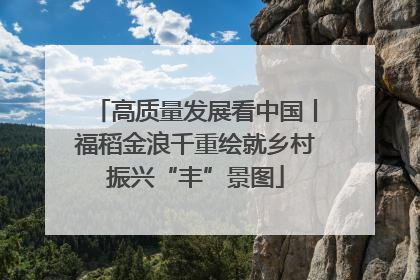 高质量发展看中国丨福稻金浪千重绘就乡村振兴“丰”景图