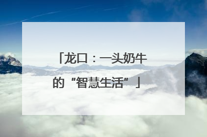 龙口：一头奶牛的“智慧生活”