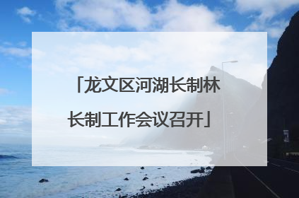 龙文区河湖长制林长制工作会议召开