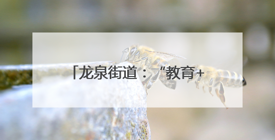 龙泉街道：“教育+整治”双发力 筑牢道路交通安全防线
