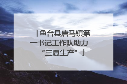 鱼台县唐马镇第一书记工作队助力“三夏生产”