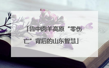 鲁中肉羊高原“零伤亡”背后的山东智慧