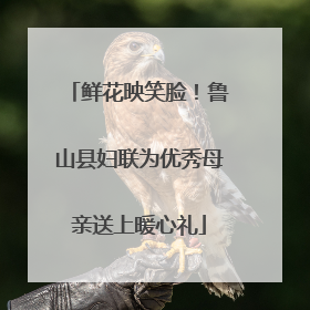 鲜花映笑脸！鲁山县妇联为优秀母亲送上暖心礼
