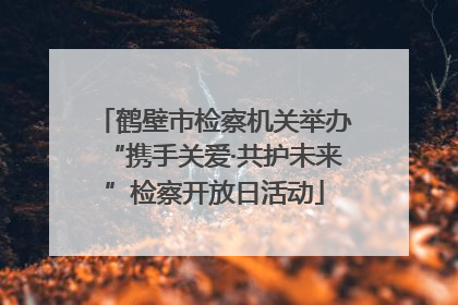 鹤壁市检察机关举办“携手关爱·共护未来”检察开放日活动