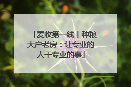 麦收第一线丨种粮大户老房：让专业的人干专业的事