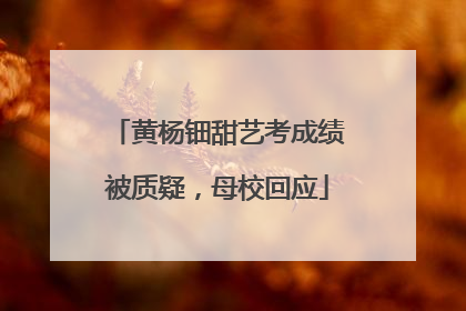 黄杨钿甜艺考成绩被质疑，母校回应