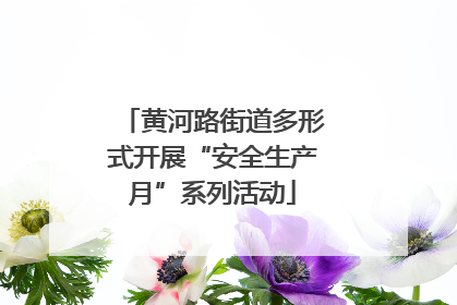 黄河路街道多形式开展“安全生产月”系列活动