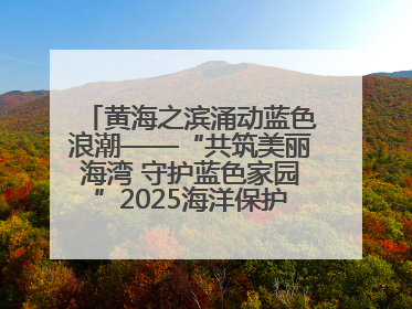 黄海之滨涌动蓝色浪潮——“共筑美丽海湾 守护蓝色家园”2025海洋保护净滩活动暨“美丽江苏—江河湖海青蓝行”海洋篇在连云港举行