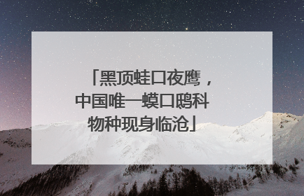 黑顶蛙口夜鹰，中国唯一蟆口鸱科物种现身临沧