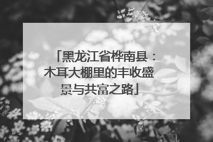 黑龙江省桦南县：木耳大棚里的丰收盛景与共富之路