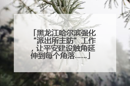 黑龙江哈尔滨强化“派出所主防”工作，让平安建设触角延伸到每个角落……