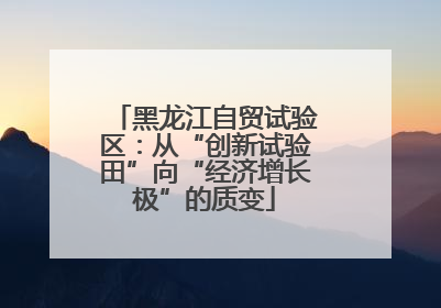 黑龙江自贸试验区：从“创新试验田”向“经济增长极”的质变