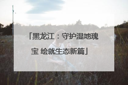 黑龙江：守护湿地瑰宝 绘就生态新篇