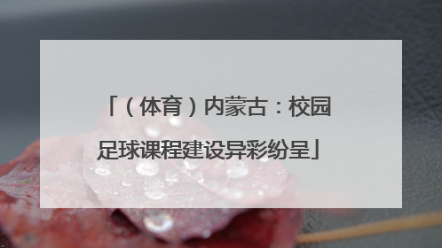 （体育）内蒙古：校园足球课程建设异彩纷呈