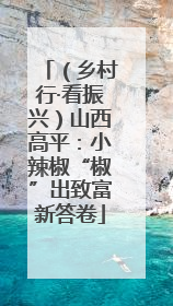 （乡村行·看振兴）山西高平：小辣椒“椒”出致富新答卷