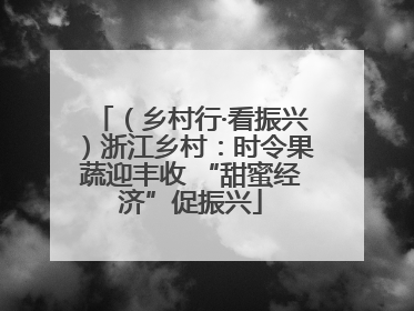 （乡村行·看振兴）浙江乡村：时令果蔬迎丰收 “甜蜜经济”促振兴