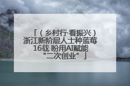 （乡村行·看振兴）浙江新阶层人士种蓝莓16载 盼用AI赋能“二次创业”