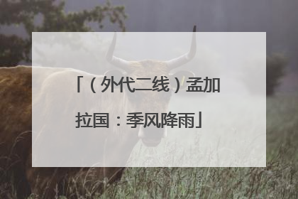 （外代二线）孟加拉国：季风降雨