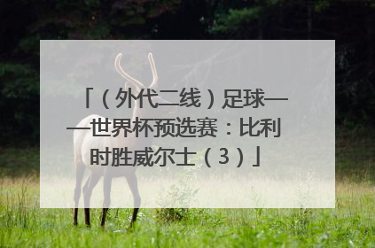 （外代二线）足球——世界杯预选赛：比利时胜威尔士（3）