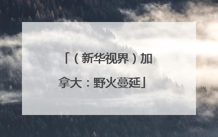 （新华视界）加拿大：野火蔓延