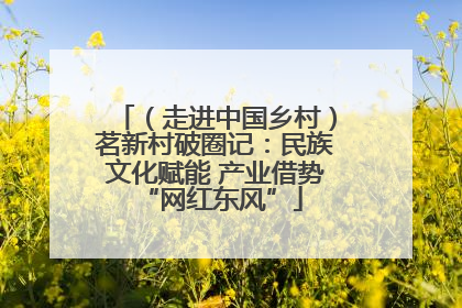 （走进中国乡村）茗新村破圈记：民族文化赋能 产业借势 “网红东风”