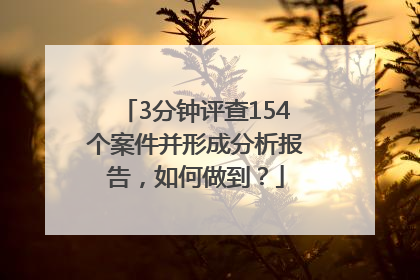 3分钟评查154个案件并形成分析报告，如何做到？