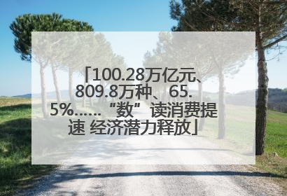100.28万亿元、809.8万种、65.5%……“数”读消费提速 经济潜力释放