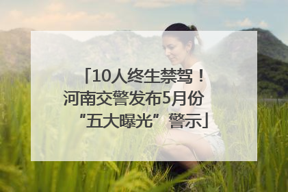 10人终生禁驾！河南交警发布5月份“五大曝光”警示