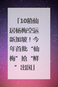 10箱仙居杨梅空运新加坡！今年首批“仙梅”抢“鲜”出国