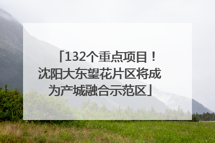 132个重点项目！沈阳大东望花片区将成为产城融合示范区