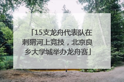 15支龙舟代表队在刺猬河上竞技，北京良乡大学城举办龙舟赛