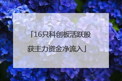 16只科创板活跃股获主力资金净流入