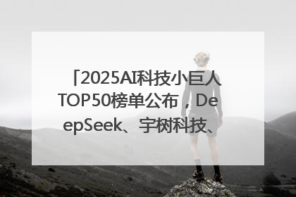 2025AI科技小巨人TOP50榜单公布，DeepSeek、宇树科技、蘑菇车联等企业荣誉上榜