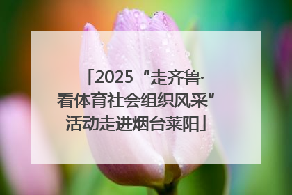 2025“走齐鲁·看体育社会组织风采”活动走进烟台莱阳