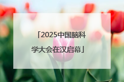 2025中国脑科学大会在汉启幕