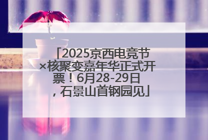 2025京西电竞节×核聚变嘉年华正式开票！6月28-29日，石景山首钢园见
