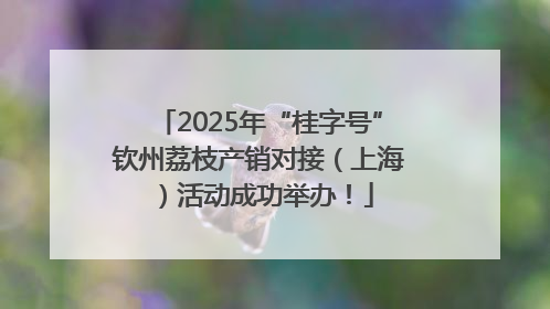 2025年“桂字号”钦州荔枝产销对接（上海）活动成功举办！