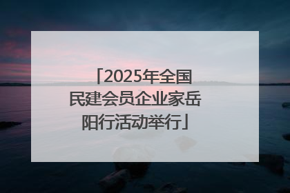 2025年全国民建会员企业家岳阳行活动举行