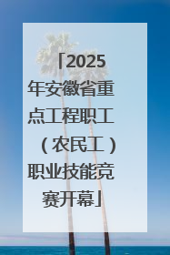 2025年安徽省重点工程职工（农民工）职业技能竞赛开幕