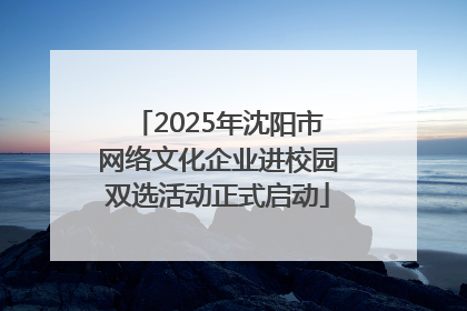 2025年沈阳市网络文化企业进校园双选活动正式启动