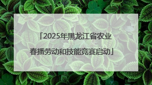2025年黑龙江省农业春播劳动和技能竞赛启动