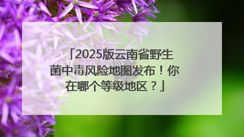 2025版云南省野生菌中毒风险地图发布！你在哪个等级地区？